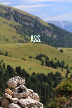 ass (2013)