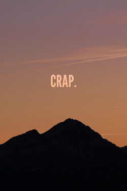 crap (2013)